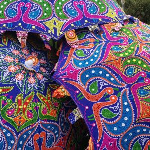 Peacock parasol