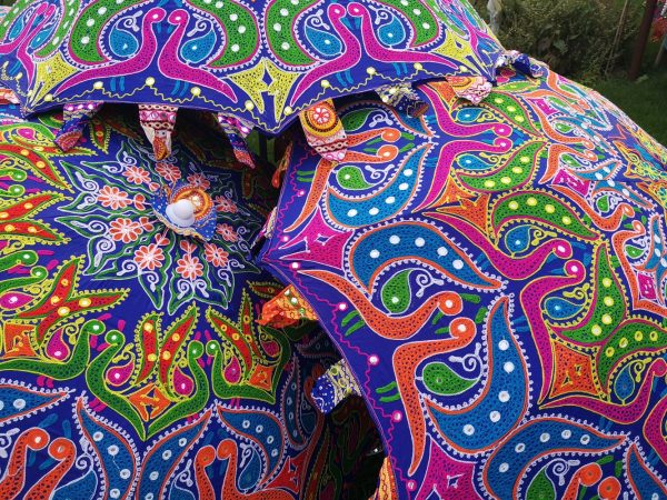 Peacock parasol