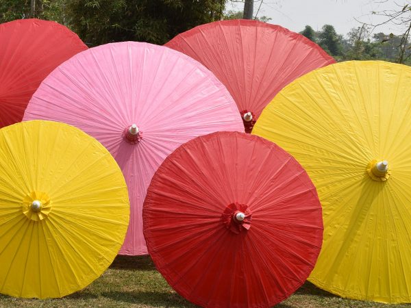 Parasol Lotus