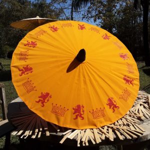 Oranje Paraplu